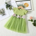 Girls Christmas Skirts Dress Kids Baby Girl's Flower Dress Party Tulle