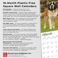 thumbnail image 6 of Saint Bernards | 2026 12x24" (Hanging) Wall Calendar | Plastic-Free | BrownTrout, 6 of 9