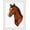 Brown, Pattern 1, variant on ODIKA 4'x6' Machine Washable Non-Slip Area Rug, Elegant Equestrian Yarn Decorative Pillow Project High Traffic Rug, Brown, 642928