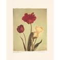 thumbnail image 3 of Melious, Amy 15x18 Black Modern Framed Museum Art Print Titled - Spring Color IV, 3 of 5