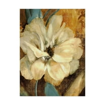 Trademark Fine Art 'Cream Flower Illustrations 1' Canvas Art by Marietta Cohen Art And Design