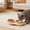 Beige, variant on Staron 2 in Anti-Tip Pet Bowl, Non-Slip Dog Cat Food Water Bowl with Weighted Base, Removable Easy Clean Feeder for Small Medium Dogs Cats Puppies Kittens, Gray