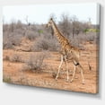 thumbnail image 2 of Giraffe Walking through African Forest - Animal Canvas Art Print, 2 of 4