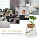 thumbnail image 5 of 2pcs Desktop Glass Planter Chic Hydroponics Vase Planter Glass Vase For Home, 5 of 5