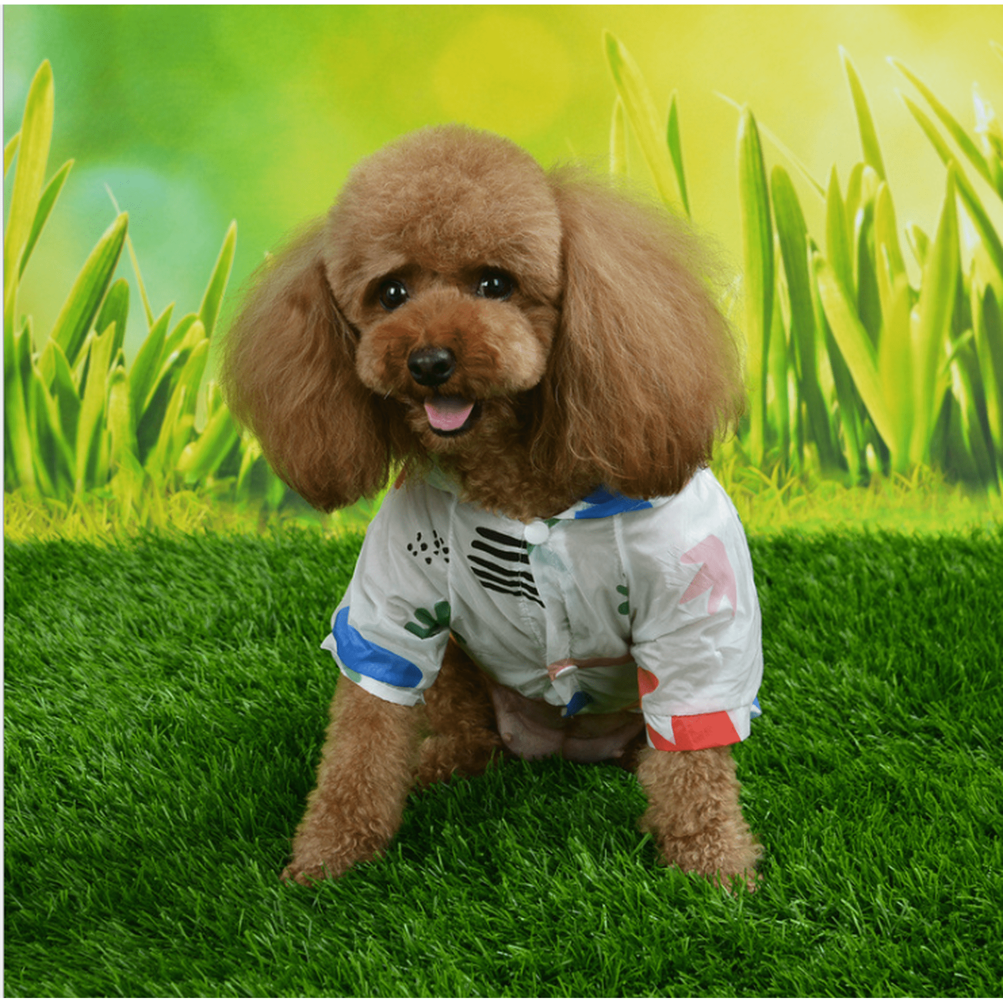 Dog uv protection clothing deals