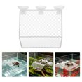 thumbnail image 1 of IDEANATEGRATE Plataforma Para Reptil Con Ventosas Para Trepar Y Sol En Acuario Resistente, 1 of 8