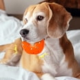 thumbnail image 5 of Moonsky Donut Squeaky Dog Toy, Colorful Latex Interactive Chew Toy for Small Dogs and Puppies Boredom Relief, Brown, 5 of 5