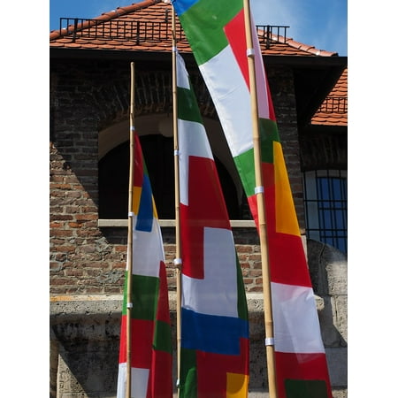 Framed Art for Your Wall Flags Colorful Flutter Wind ULM Blow Danube Fixed 10x13
