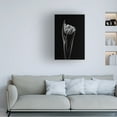thumbnail image 4 of Canvas Wall Art - Lotte Gronkjar 'Rembrandt Tulip' Wall Art for Living Room, Bedroom, or Office Décor by Trademark Fine Art - 12 x 19 Inches, 4 of 4