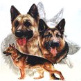 thumbnail image 1 of Cuadros Decorativos Completo redondo taladro diamante pintura perros mosaico Kit diamantes de imitación imágenes manualidades Likrtyny embutido en tela, 1 of 7