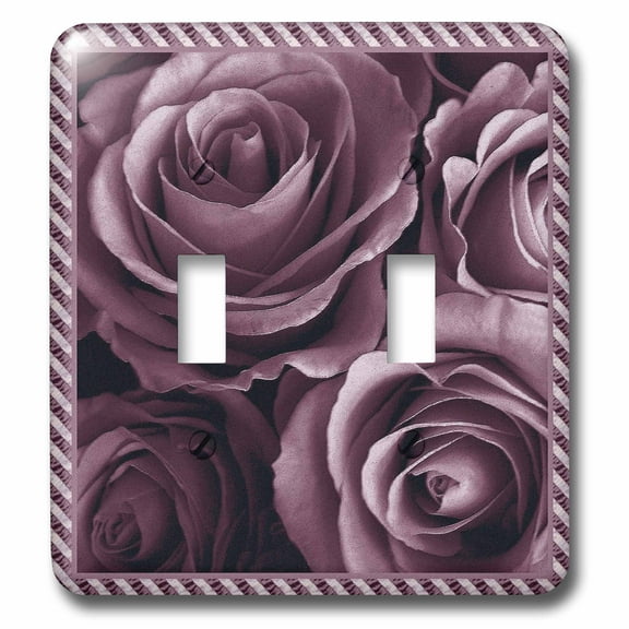 3dRose, Close up scene of dreamy muted plum purple roses surrounded by a striped frame, double toggle switch