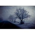 thumbnail image 2 of Kazamil, Farid 14x11 Black Ornate Wood Framed with Double Matting Museum Art Print Titled - At night foggy, 2 of 4