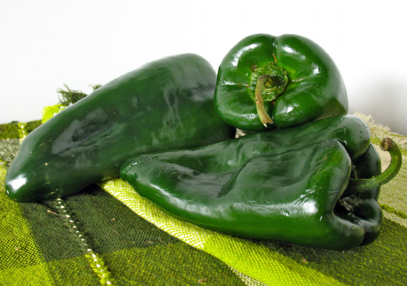 Organic Ancho Poblano Pepper Plant 4.5" Pot No GMOs