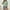 Green, variant on Munlar Sleeveless Tank Tops and Shorts Set for Women Drawstring 2-Piece Casual Set Striped Yellow Loungewear