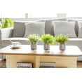 thumbnail image 2 of Plantas artificiales Mono Eucalyptus, paquete de 3 con macetas galvanizadas, 2 of 6