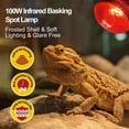 thumbnail image 4 of ECOSUB 100W Reptile Heat Lamp Bulbs Combo, Day & Night Basking Spot Light, UVA Heating Lamp 2 Pack, 4 of 8