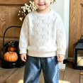 thumbnail image 4 of Ruyang Boys Girls Knit Sweater Loose Long Sleeve Pullover Breathable Casual Basic Tops Kids Crew Neck Fall Warm Outfits, 4 of 5