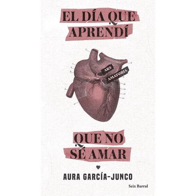 Libro El Dia Que Aprendi Que No Se Amar, Autor Aura Garcia-junco, Editorial Seix Barral Mexico Seix Barral Mexico 9786070780646