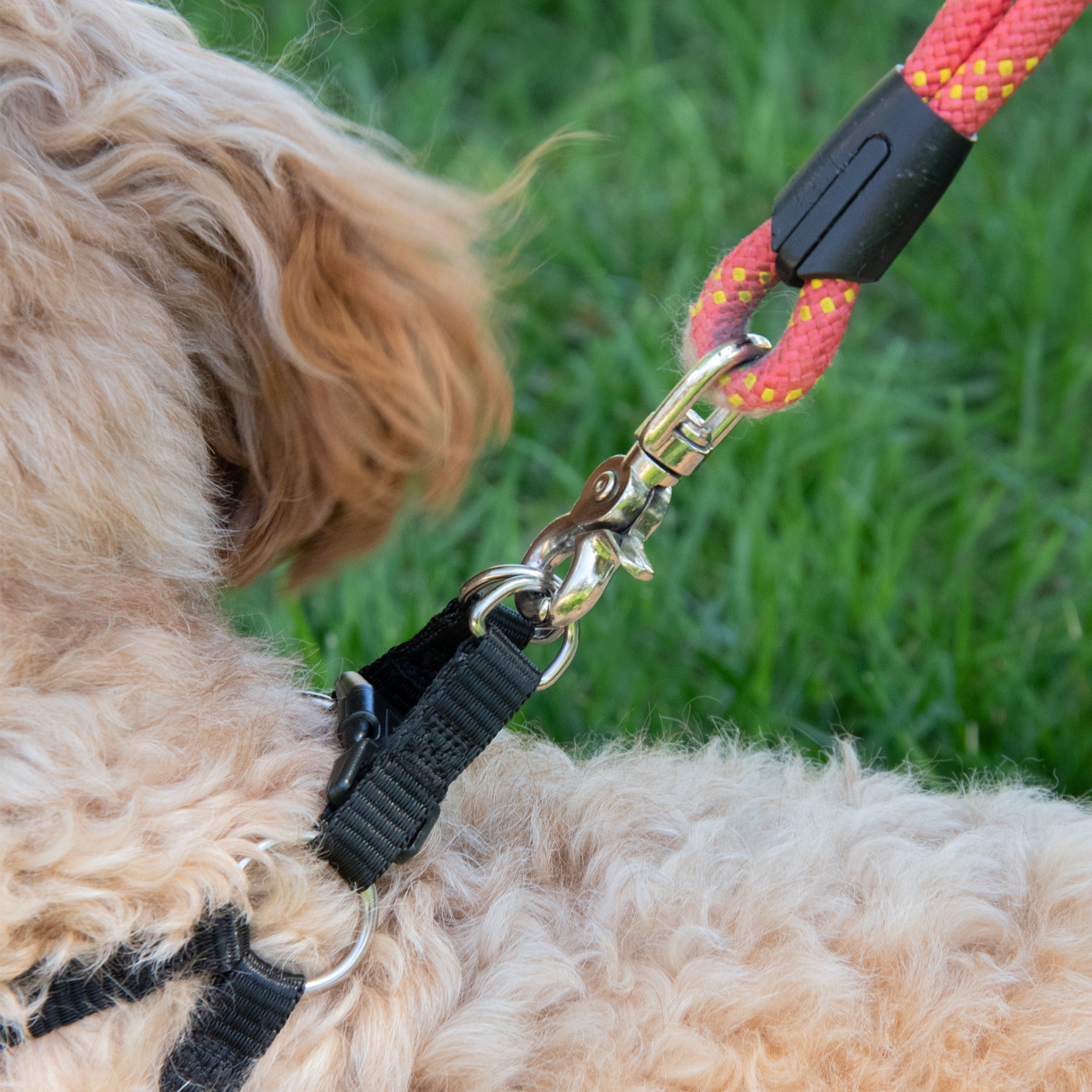 (2 pack) Pet Champion Medium Basic Step-In Dog Harness