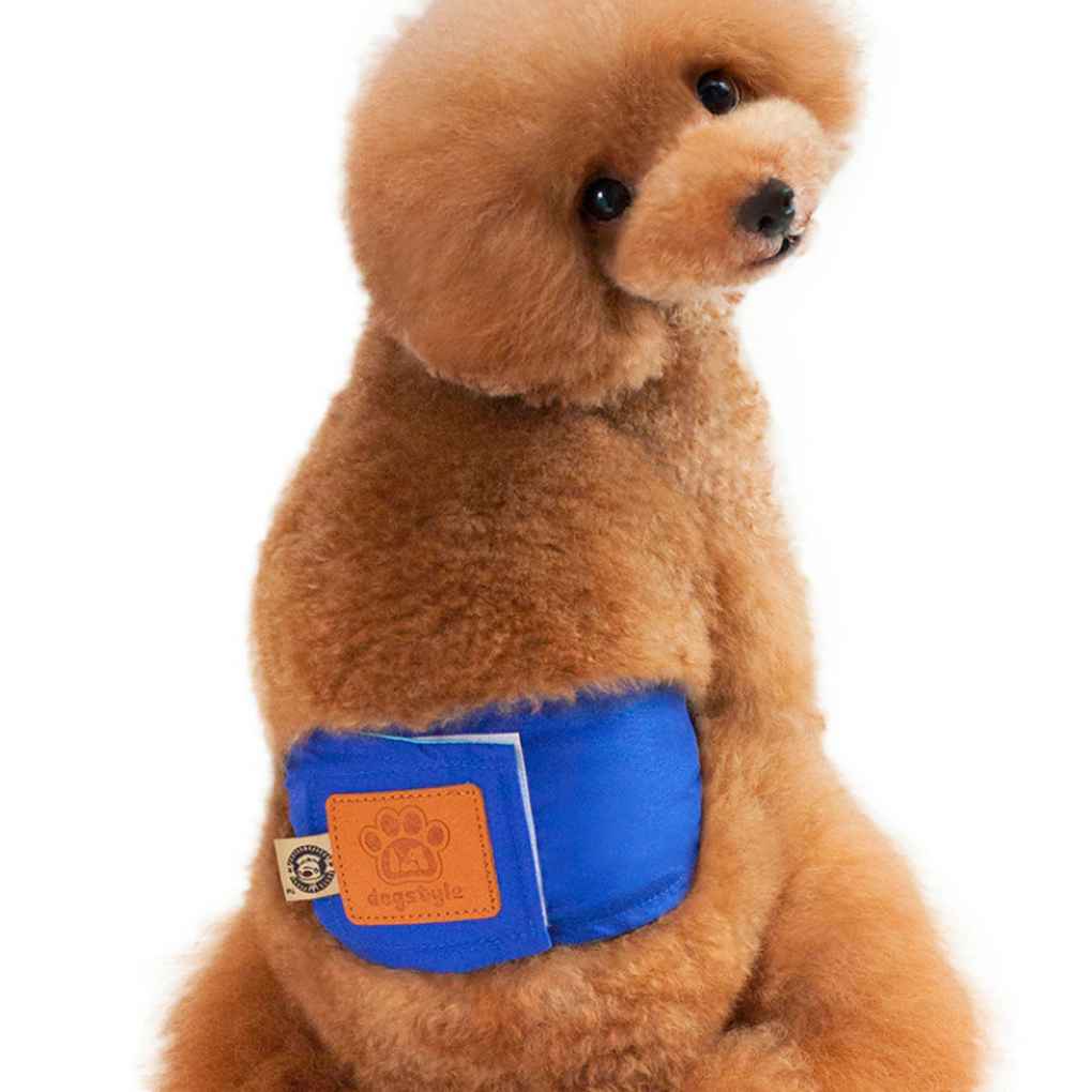 dog belly band walmart