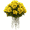Yellow, variant on Nearly Natural Pink Geranium Artificial Flower with Metal Planter, UV Resistant (Indoor/Outdoor)