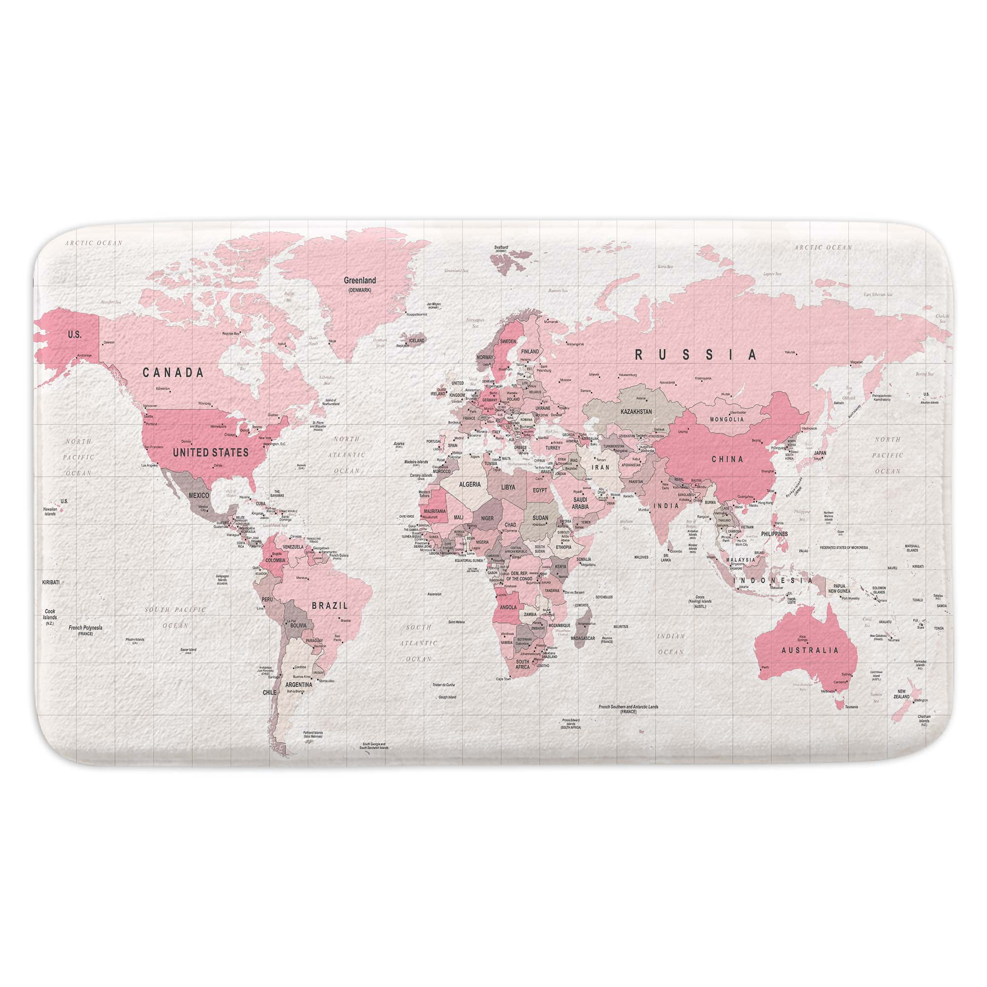 Pink World Map Bathroom Rug, Geographical Travel Map Bathroom Accessories Shower Mat, Asia Europe South City Topography America Africa Japan Non Slip Bathtub Mat Bath Rugs, 17X29in