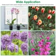 thumbnail image 4 of 10Pcs 16in Plant Support Stakes Garden Flower Single Stem Support Stake Iron Plant Cage Support Ring For Tomatoes Orchid Lily Peony Rose Flower Amaryllis Iris Stem, 4 of 8