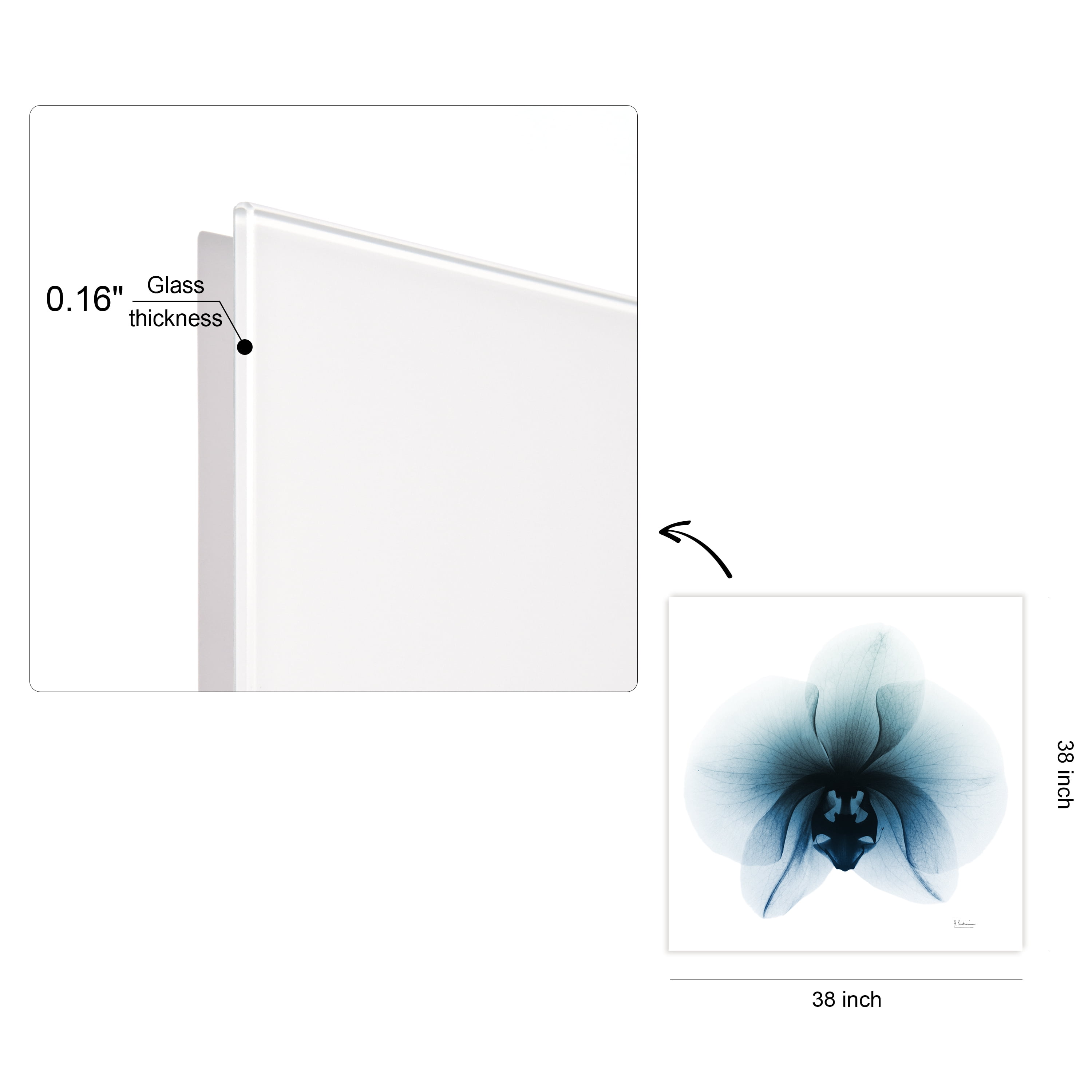 Empire Art Direct Glacial Orchid Frameless Free Floating Tempered Glass Panel Graphic Flower Wall Art, 38" x 38" x 0.2", Ready to Hang