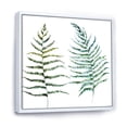 thumbnail image 3 of Designart 'Two Fern Leaves On White' Farmhouse Framed Canvas Wall Art Print, 3 of 5