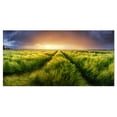 thumbnail image 2 of Storm and Light on Meadow - Landscape Artwork Canvas, 2 of 3