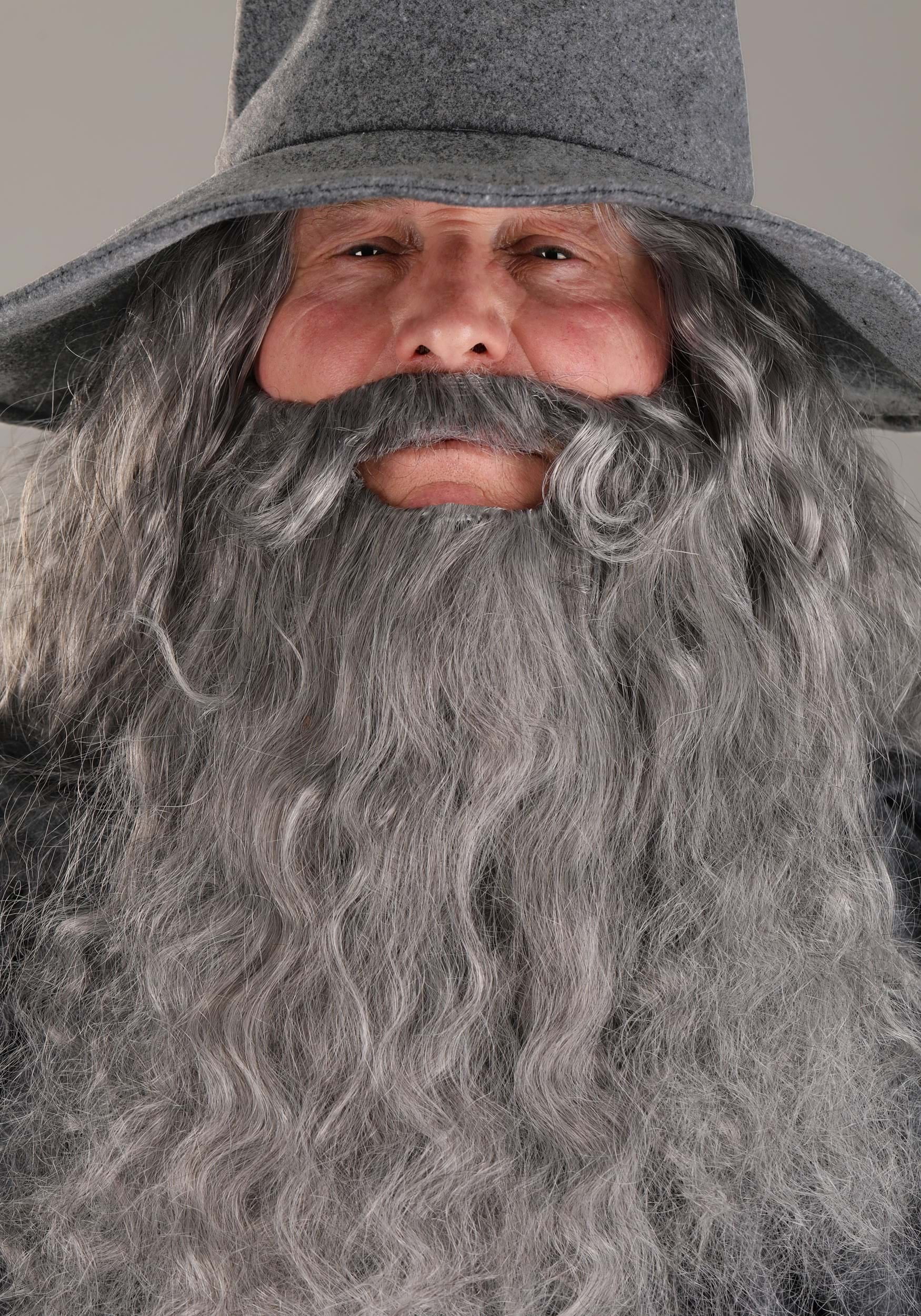 Men's Gandalf Lord of the Rings Costume - Walmart.ca