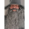 thumbnail image 2 of Men's Gandalf Lord of the Rings Costume, 2 of 12