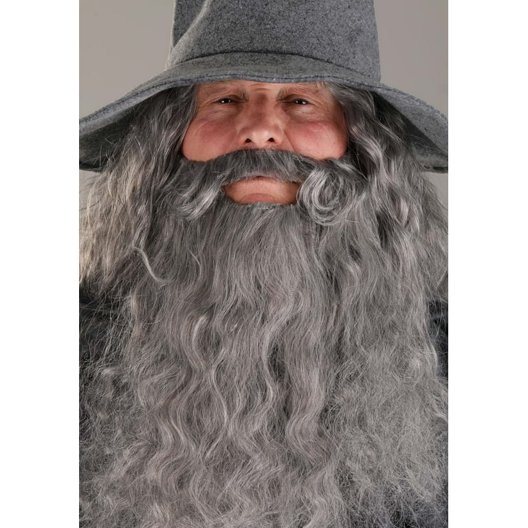 Men's Gandalf Lord of the Rings Costume - Walmart.com