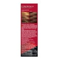 thumbnail image 3 of Revlon Colorsilk Beautiful Permanent Long Lasting Color Hair Dye with 3D Color and Keratin, 32 Dark Mahogany Brown, 2 PACK, 3 of 12