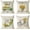 Summer 01, variant on Set of 4 Sunflower Decorative Throw Pillow Covers 16x16 Inch Plant Pillow Covers Linen Square Pillow Cases Summer Flower Outdoor Sofa Couch Home Bed Decor Cushion Covers (16 by 16)