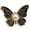 1-Black, variant on 1/6 Pcs Butterfly Button Pins Jeans Waist Tightener Adjustable Trouser Button Pin Waist Buckle Jeans Button Pins