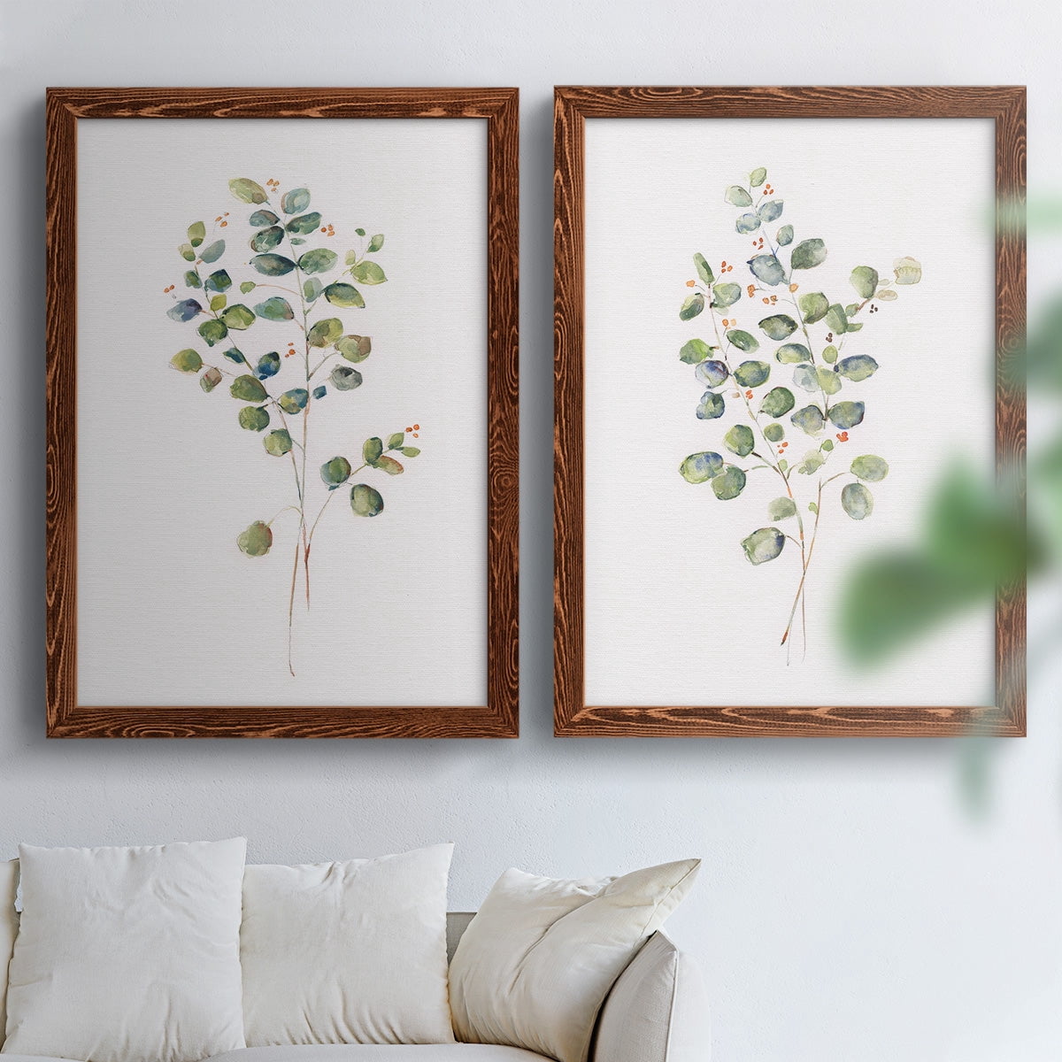 Eucalyptus I - Premium Framed Canvas 2 Piece Set - Ready to Hang