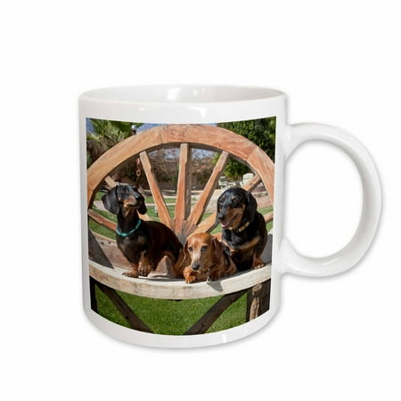

3dRose Three Dachshund dogs on wooden bench - US05 ZMU0290 - Zandria Muench Beraldo Ceramic Mug 11-ounce