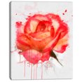 thumbnail image 2 of Red Rose Hand drawn with Splashes - Floral Canvas Art Print, 2 of 4