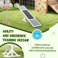 thumbnail image 6 of PawHut Wooden Dog Agility Seesaw for Training and Exercise, Platform Equipment Run Game Toy Weather Resistant Pet Supplies, White, 6 of 9