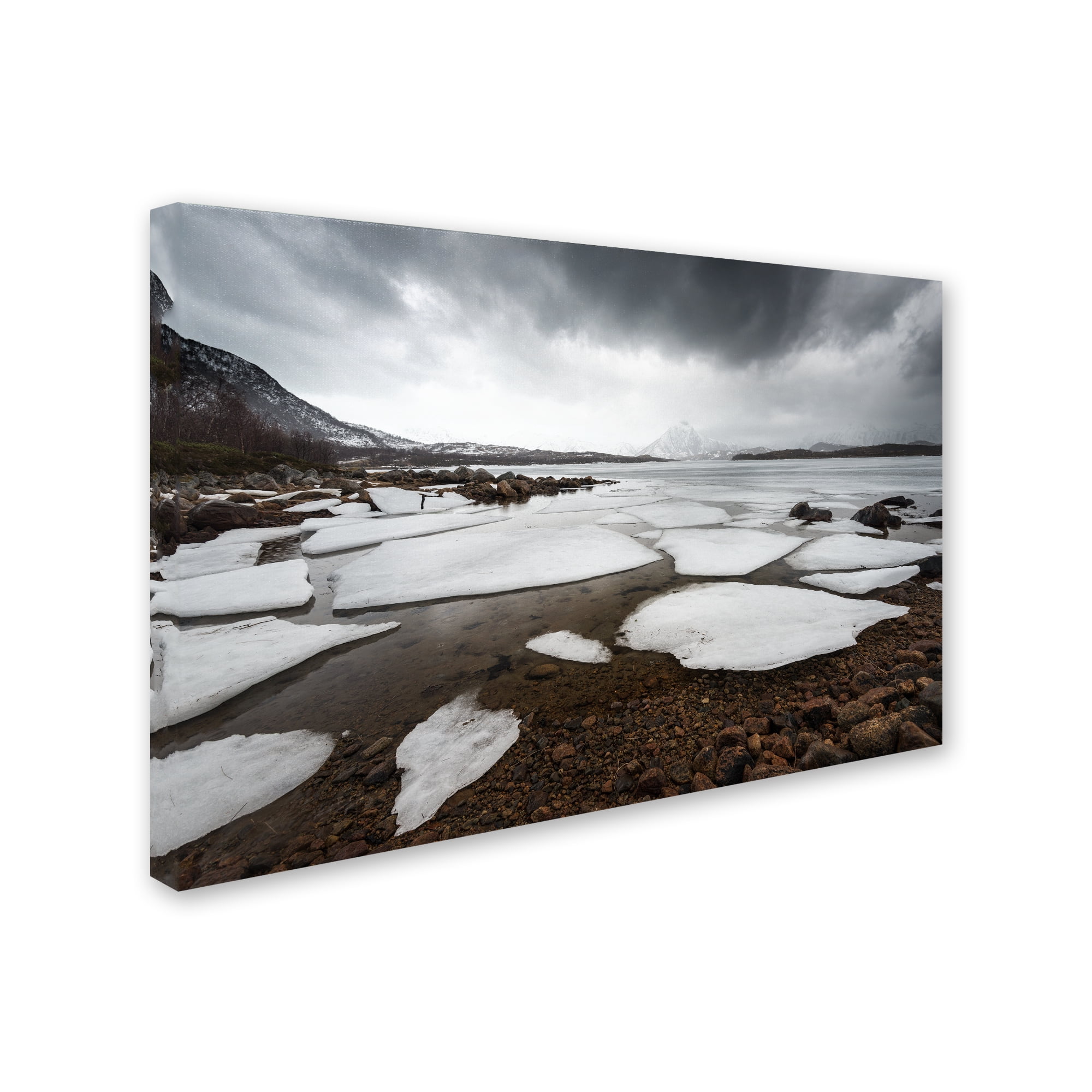 Trademark Fine Art "Wildest Dreams" Canvas Art by Philippe Sainte-Laudy