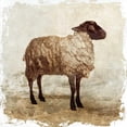 thumbnail image 3 of PI Studio 12x12 Black Modern Framed Museum Art Print Titled - Sheep white border, 3 of 5