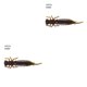 thumbnail image 4 of Soidarity 10 Uds. De cebos de insectos de simulación, señuelos de pesca portátiles, cebos de pesca suaves reutilizables, 55MM, tipo N norte 55MM 2piezas Soidarity CBP149424, 4 of 6