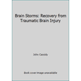 thumbnail image 1 of Pre-Owned Brain Storms: Recovery from Traumatic Brain Injury (Paperback) 0929162390 9780929162393, 1 of 1