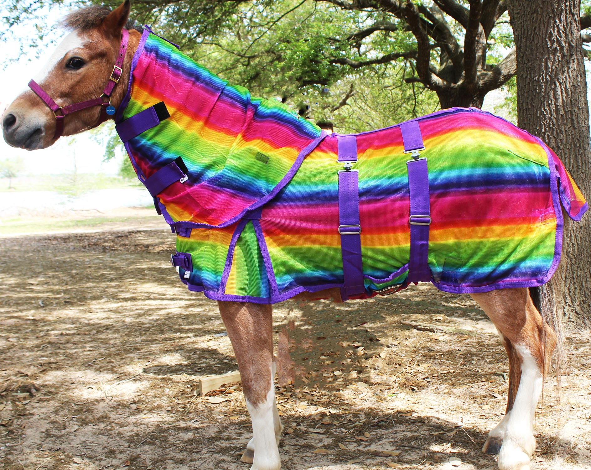 Miniature Weanling Donkey Pony Horse Foal Summer Sheet 51813 
