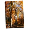 thumbnail image 2 of Gango Home Decor Autumn Cathedral I by Alan Hausenflock (Ready to Hang); One 24x36in Hand-Stretched Canvas, 2 of 4