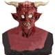 thumbnail image 1 of Maojin Toy Story Juguetes Otro MeThe Elder Halloween Holiday Supersoft Old Man Adult Mask, 1 of 8