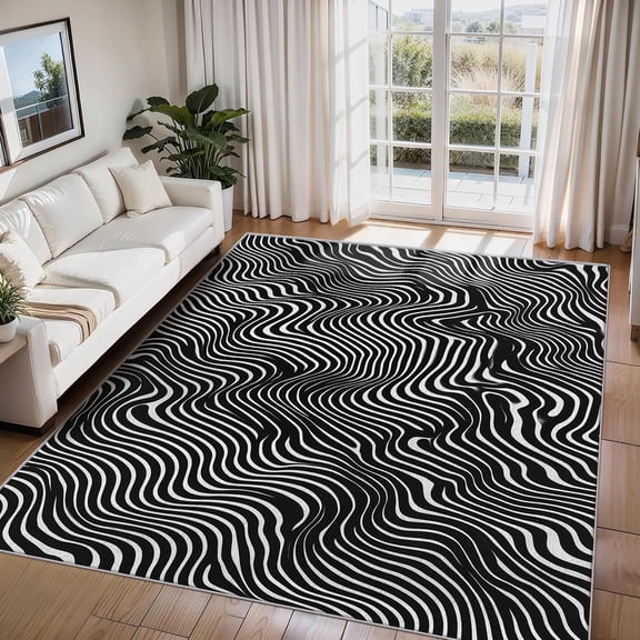 Black White Abstract Area Rugs, Optical Illusion Carpet, Washable Non Slip Low Pile Soft Rug for Living Room Bedroom Decor Mat 2ftx3ft