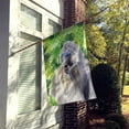 thumbnail image 2 of Carolines Treasures BB9840CHF Shih Tzu St Patricks Flag Canvas House Size  Large multicolor, 2 of 4