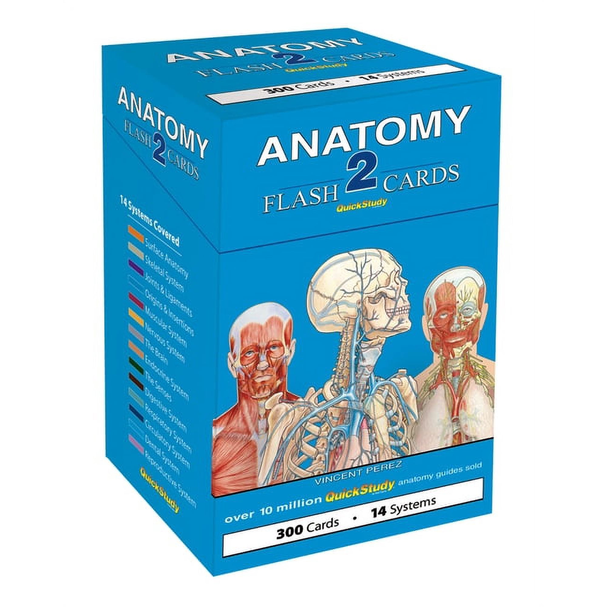 Anatomy 2 Flash Cards: A Quickstudy Reference Tool (Other)